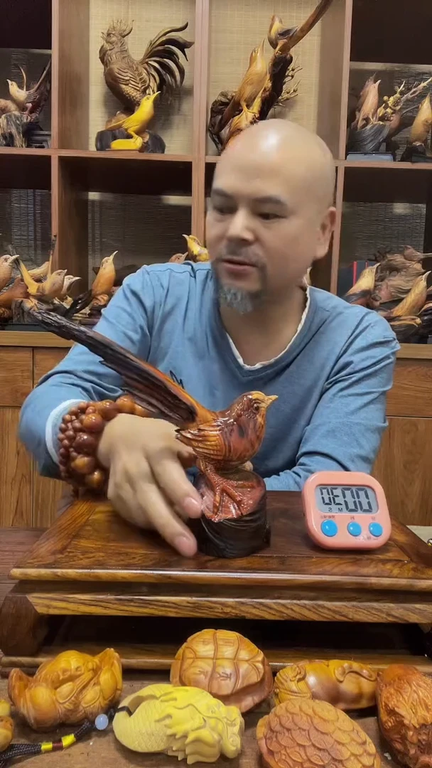 松木飞* 定向 飞歌