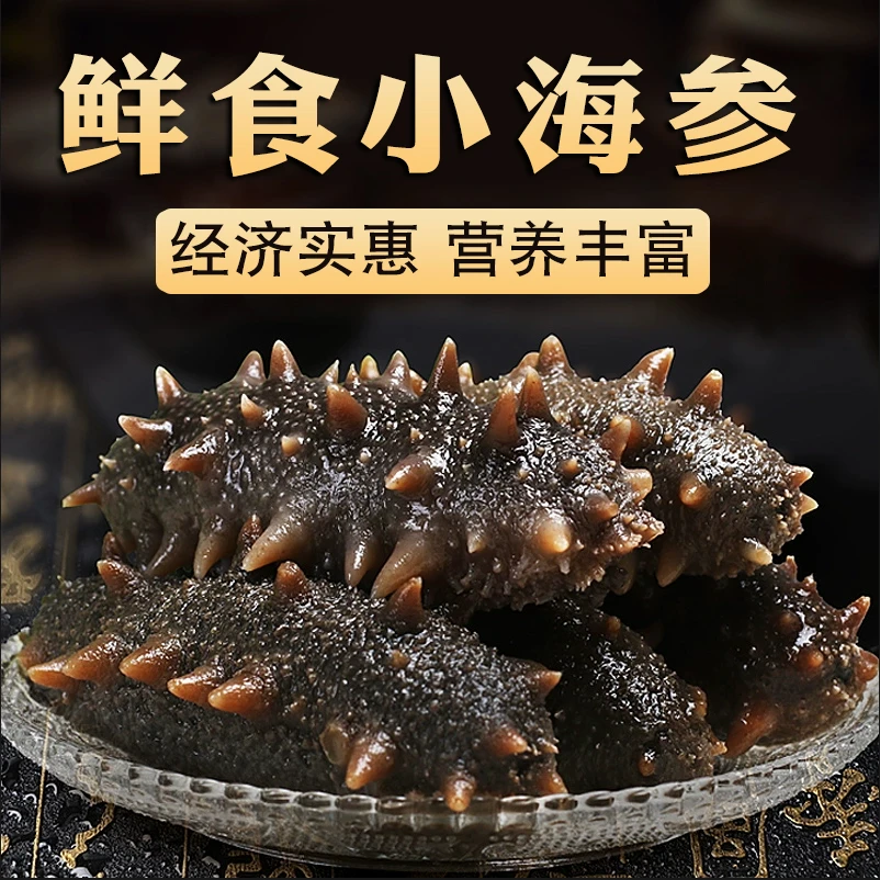 华辉鲜食海参辽参鲜活小海参500g非干货40-50头无盐即食海参顺丰