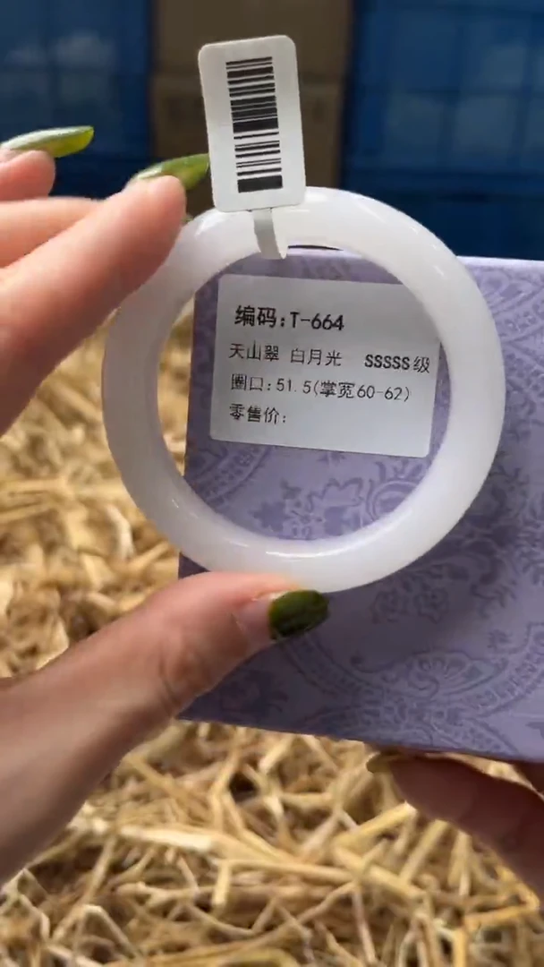 未镶嵌手镯石英质玉T664