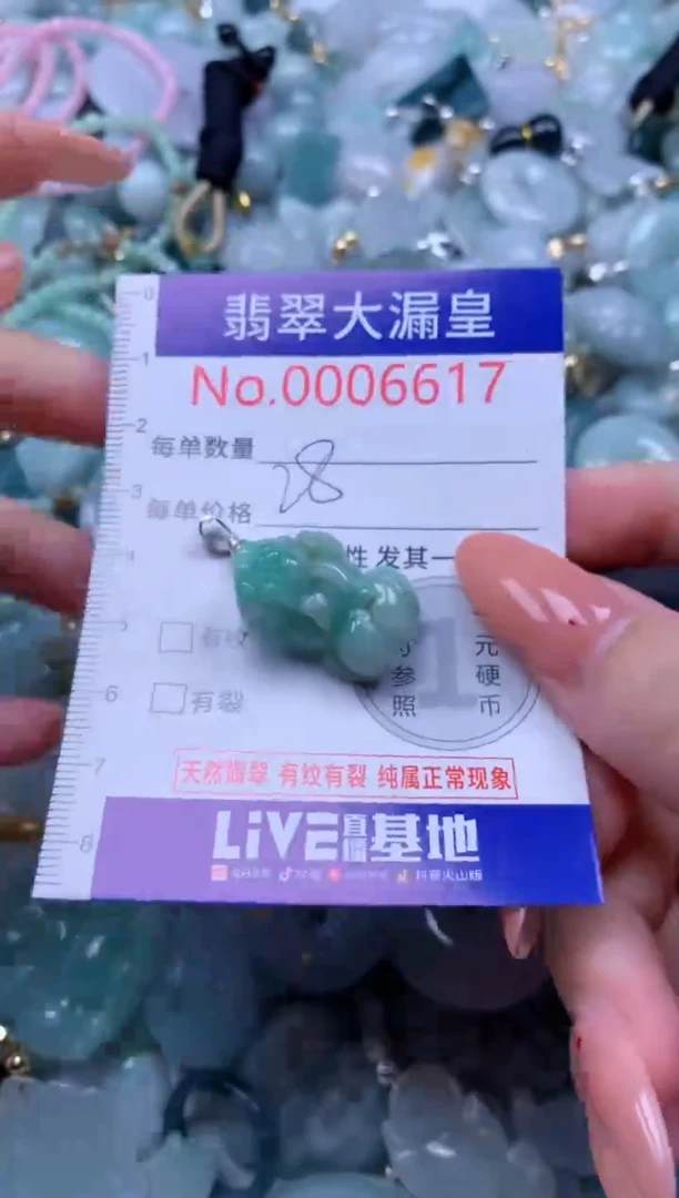 翡翠未镶嵌吊坠(不含链)6617