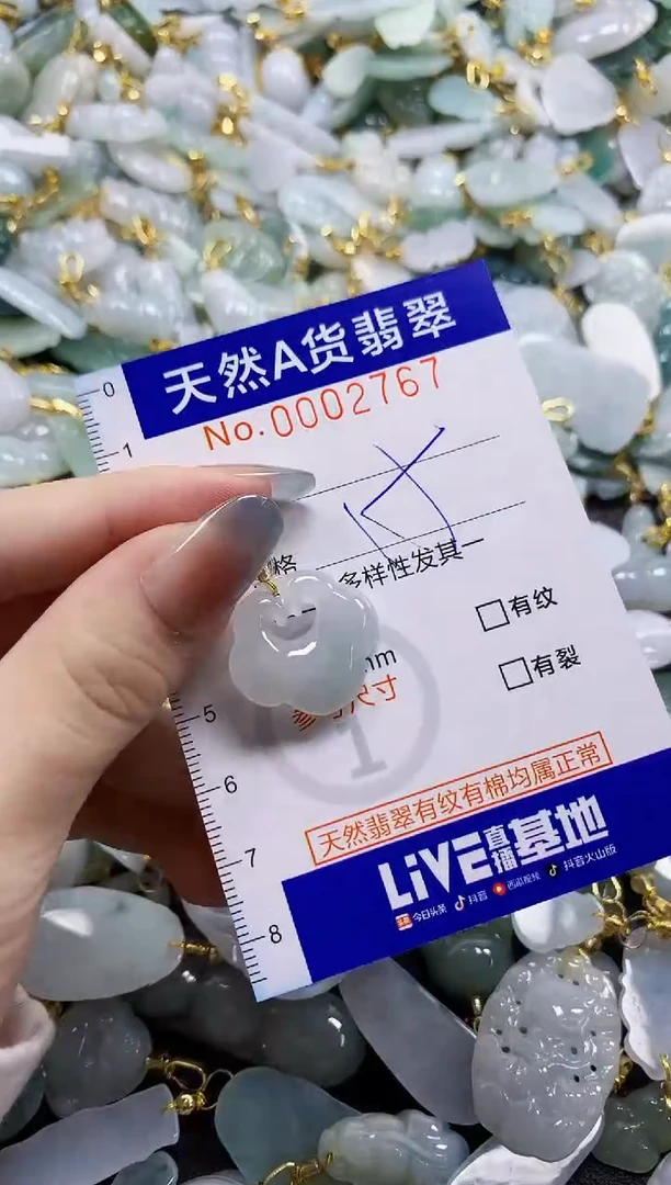 颈饰未镶嵌翡翠纯天然a货翡翠