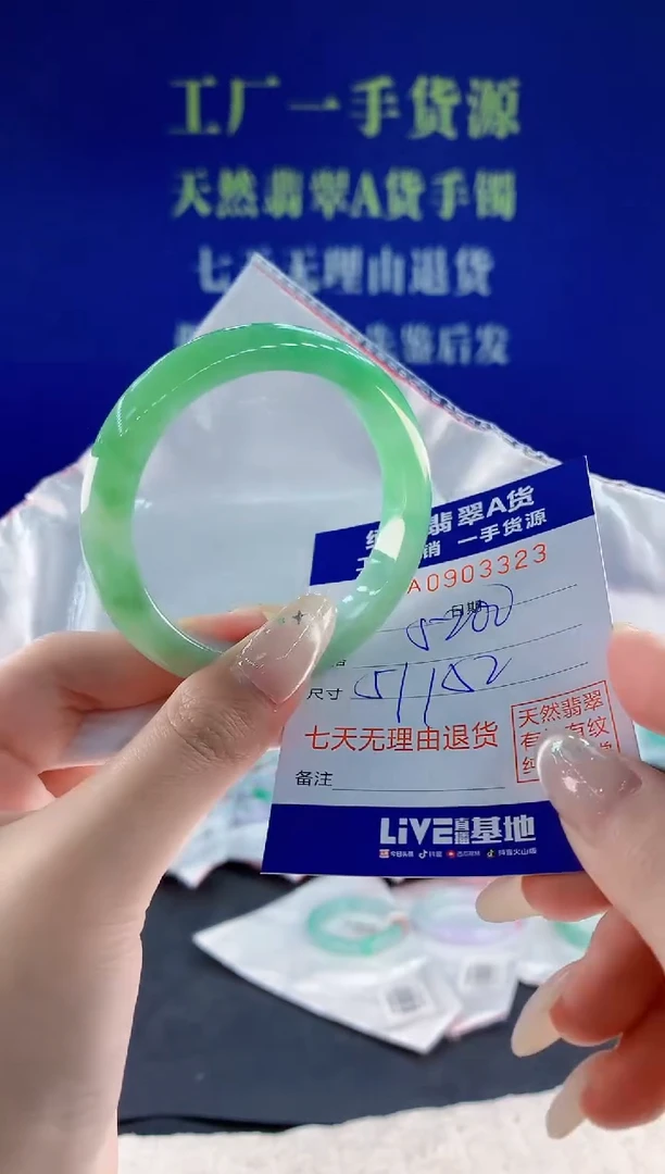未镶嵌手镯翡翠23