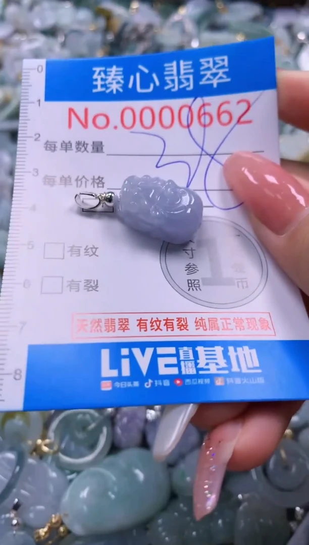 翡翠未镶嵌颈饰662