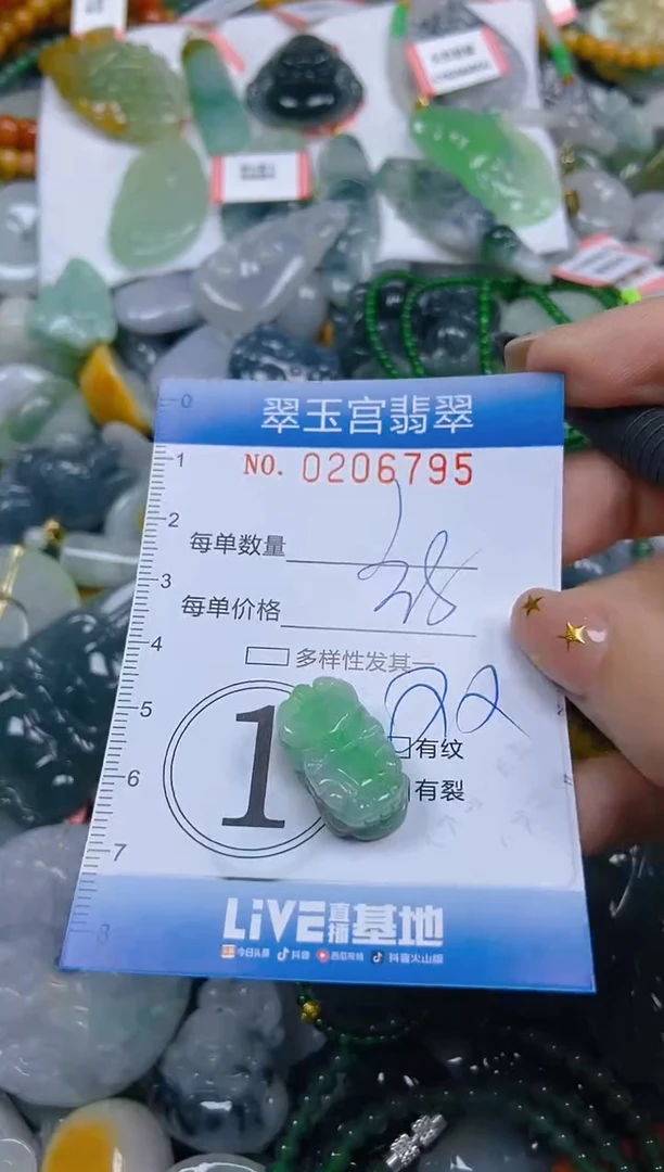 颈饰未镶嵌翡翠闪购C0206795