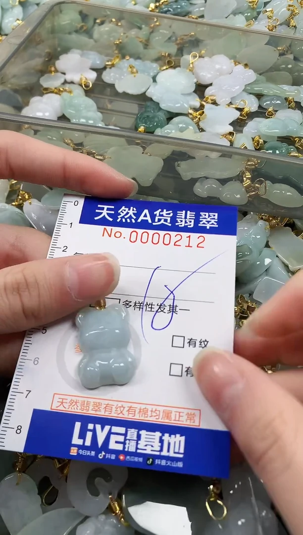 颈饰未镶嵌翡翠纯天然a货翡翠