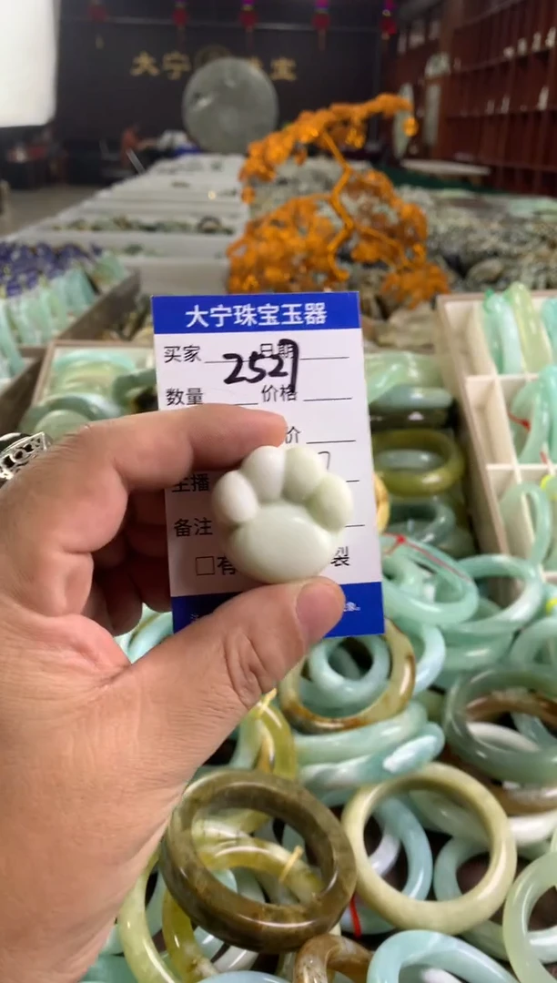 蛇纹石玉未镶嵌颈饰2527