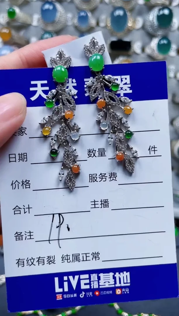 银S925镶嵌翡翠耳饰190