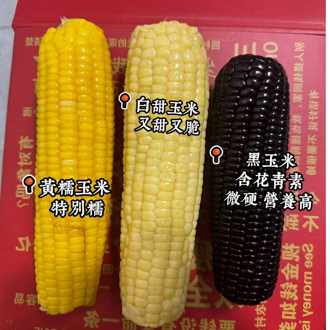 甜糯玉米，黄，白、黑玉米