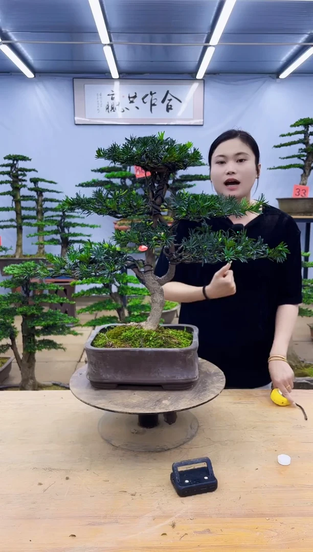 无花朵一物一拍，所见即所得