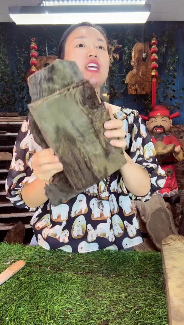 金丝楠小叶祯楠565