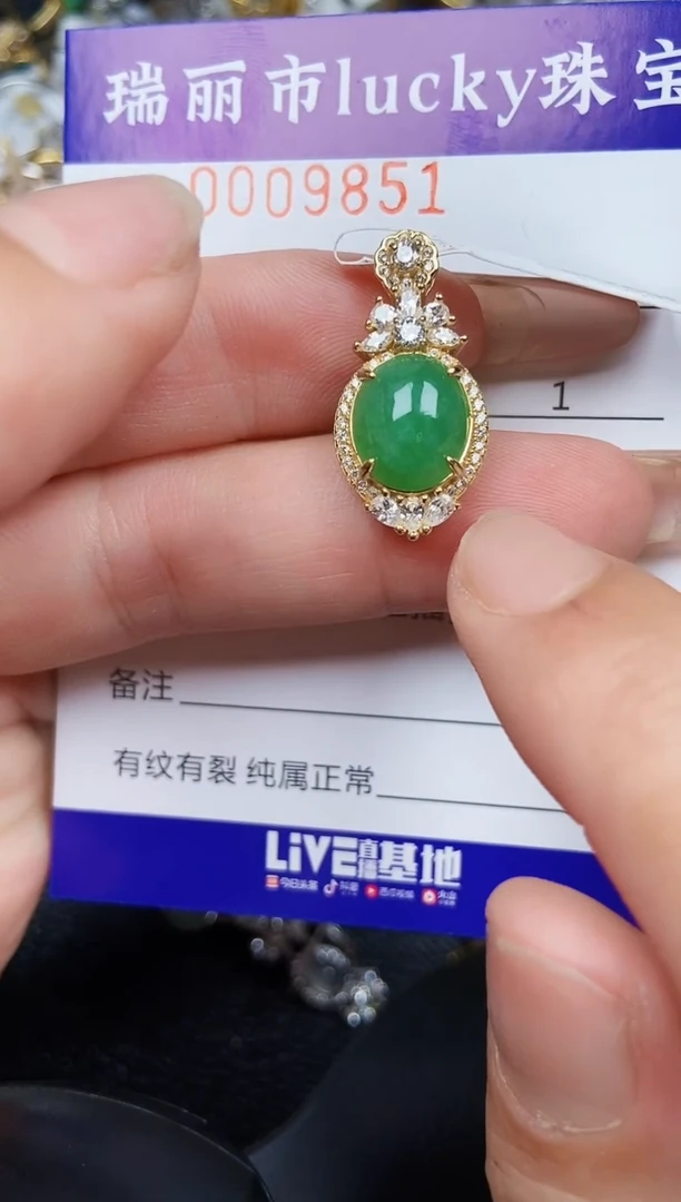 翡翠银S925镶嵌颈饰9851
