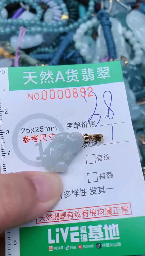 翡翠未镶嵌颈饰.0000892