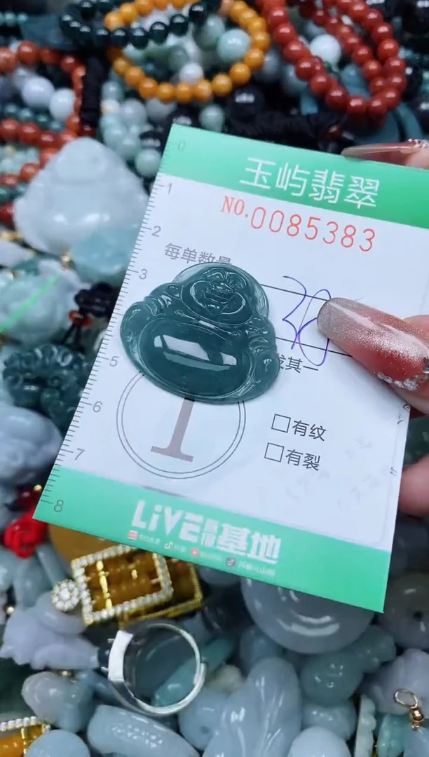 【闪购商品】翡翠颈饰未镶嵌闪购0085383