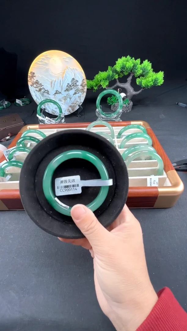 未镶嵌手镯石英质玉（非洲翠）真品上等纯天然非洲翠玉手镯石英质玉