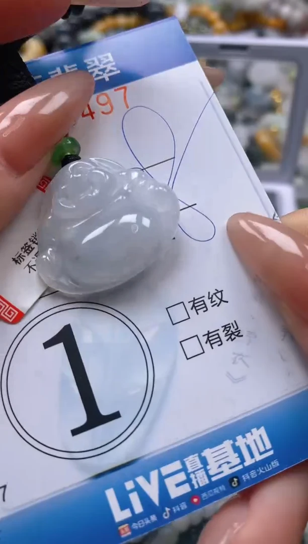 翡翠未镶嵌颈饰闪购0288497