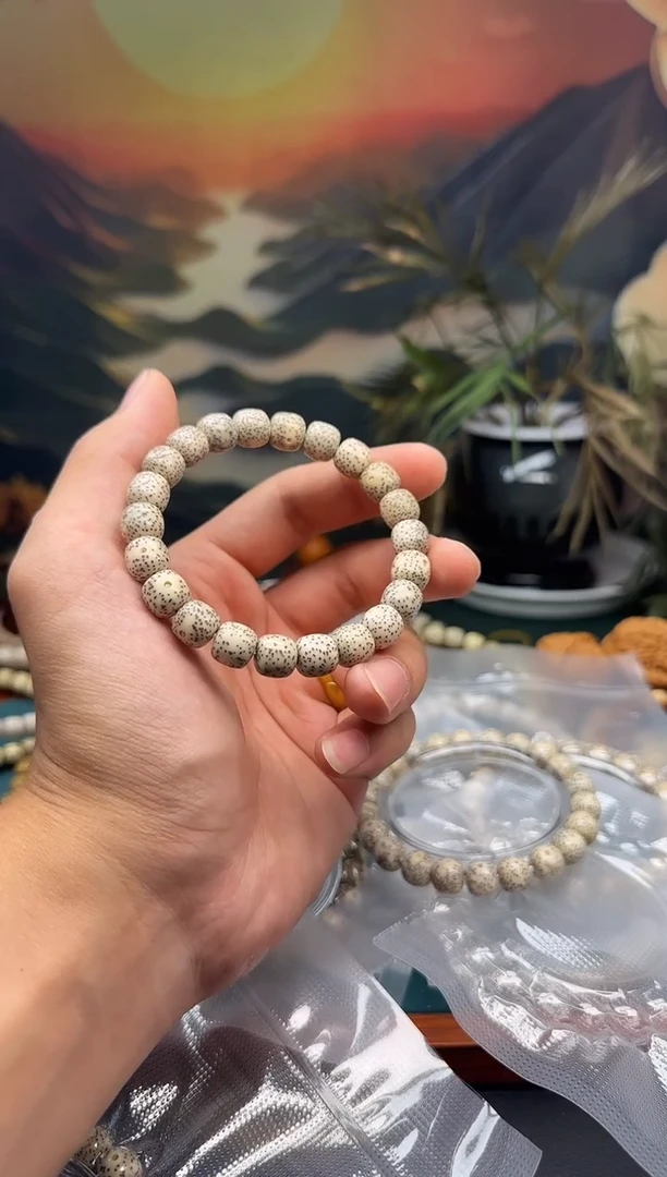 星月菩提手串糯冰 同枝果10*9