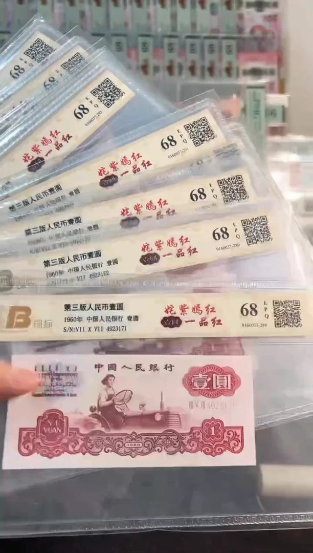 姹紫嫣红 一品红707冠 4923171-80标十