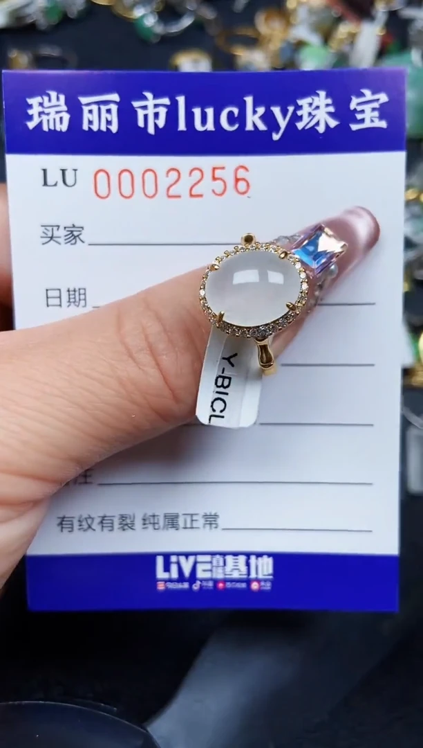 翡翠银S925镶嵌颈饰2256