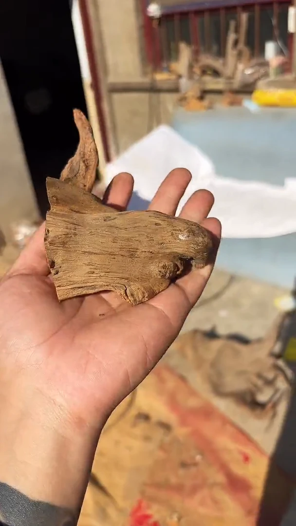 柏木（崖柏）崖柏小把件