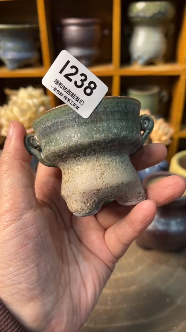 238 内口6【多肉花盆多肉盆】