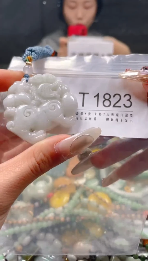 【闪购商品】翡翠颈饰未镶嵌/T/翡翠A货一图一物