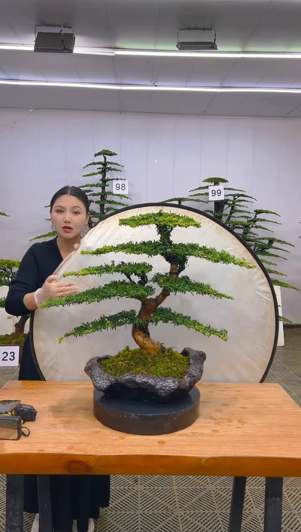 无花朵一物一拍一物一拍