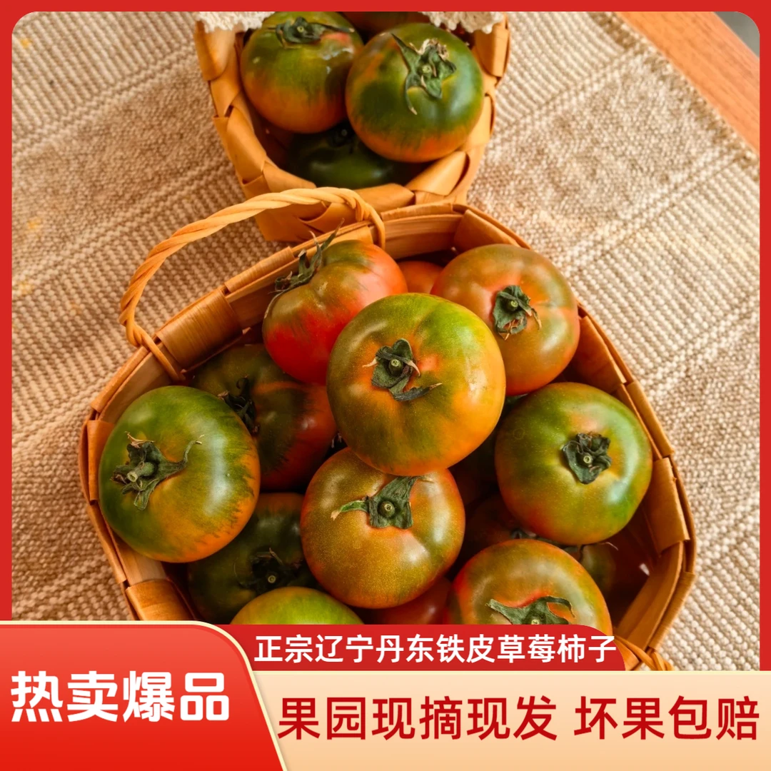 【锦江汇】北纬41° 正宗丹东水果铁皮草莓柿子 果园现摘现发 包邮