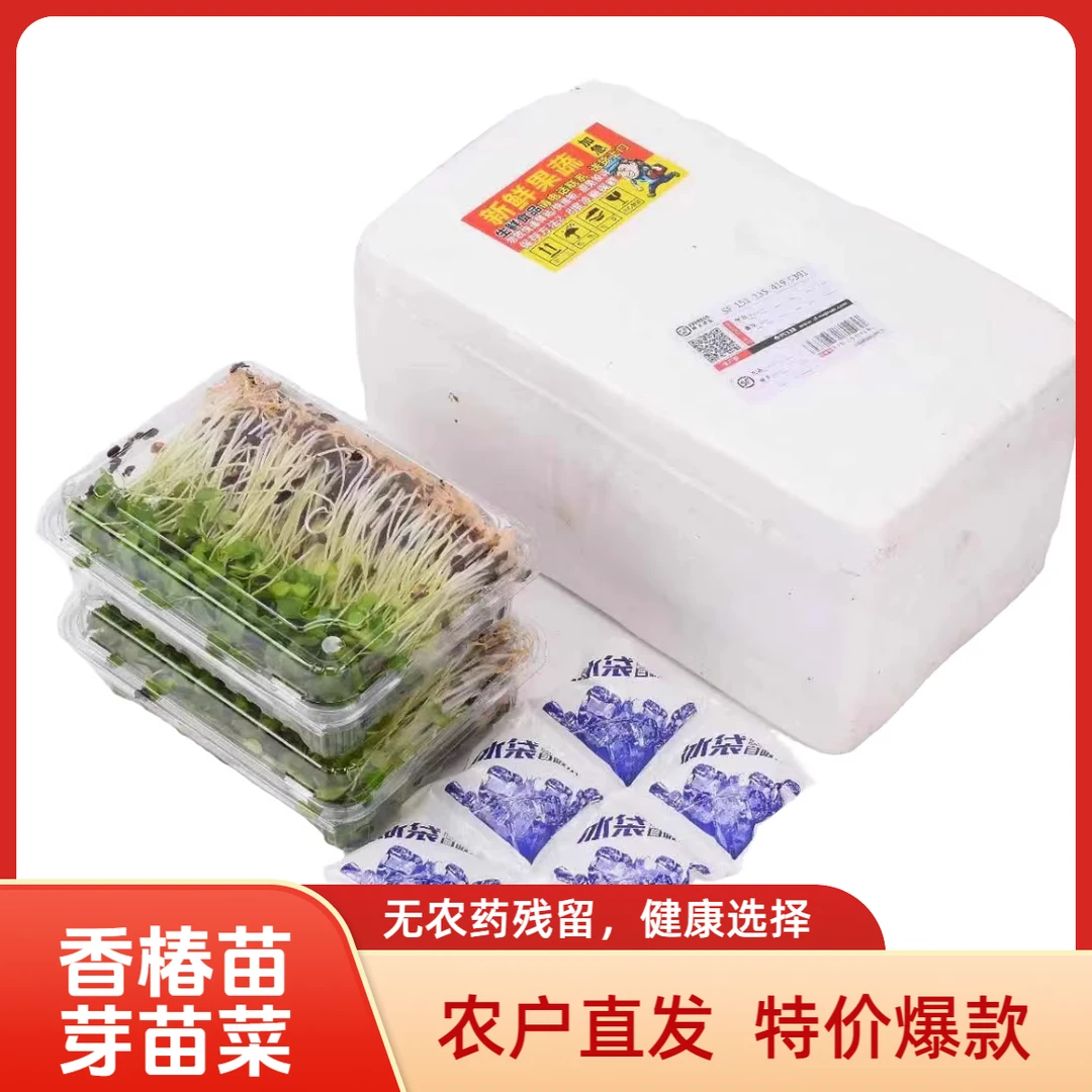 【有机蔬菜】冷链直达精品锁鲜香椿苗有机新鲜蔬菜健康营养炒菜凉拌