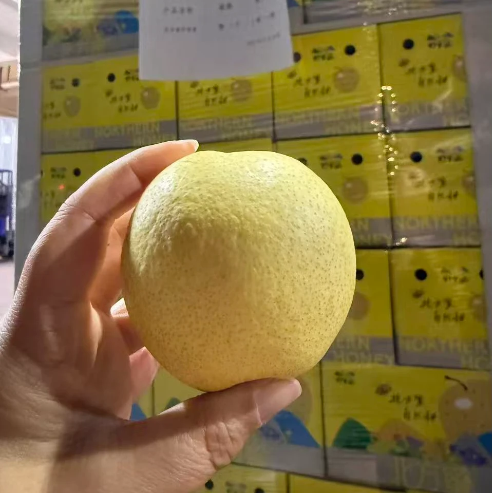 【原箱】[N]真的蜂蜜梨 箱/5斤左右 仅限太原晋中吕梁忻州可拍