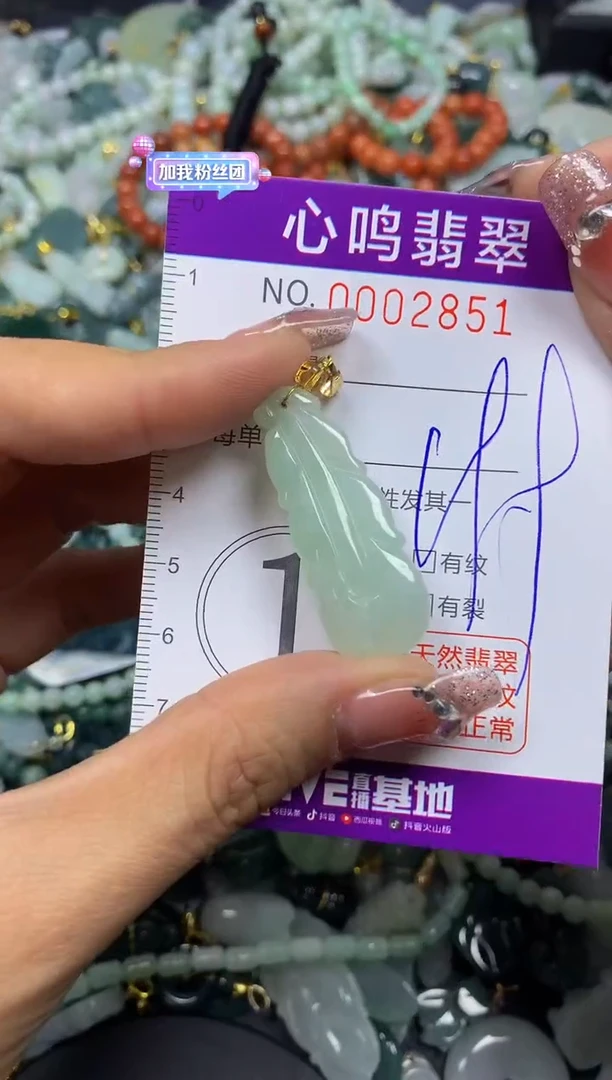 【闪购商品】翡翠颈饰未镶嵌闪购002851