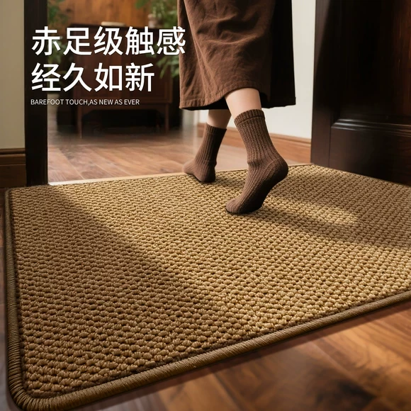 定制专拍---入户门玄关地垫客厅防滑脚垫进门耐脏地毯大门口