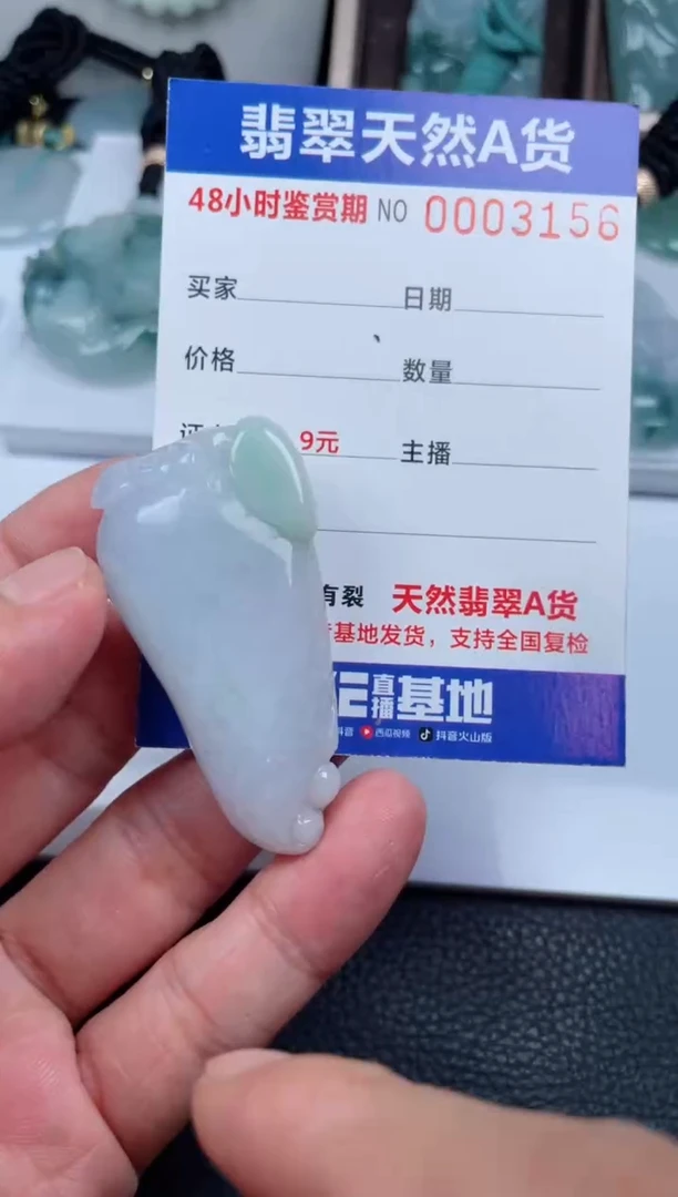 翡翠未镶嵌颈饰