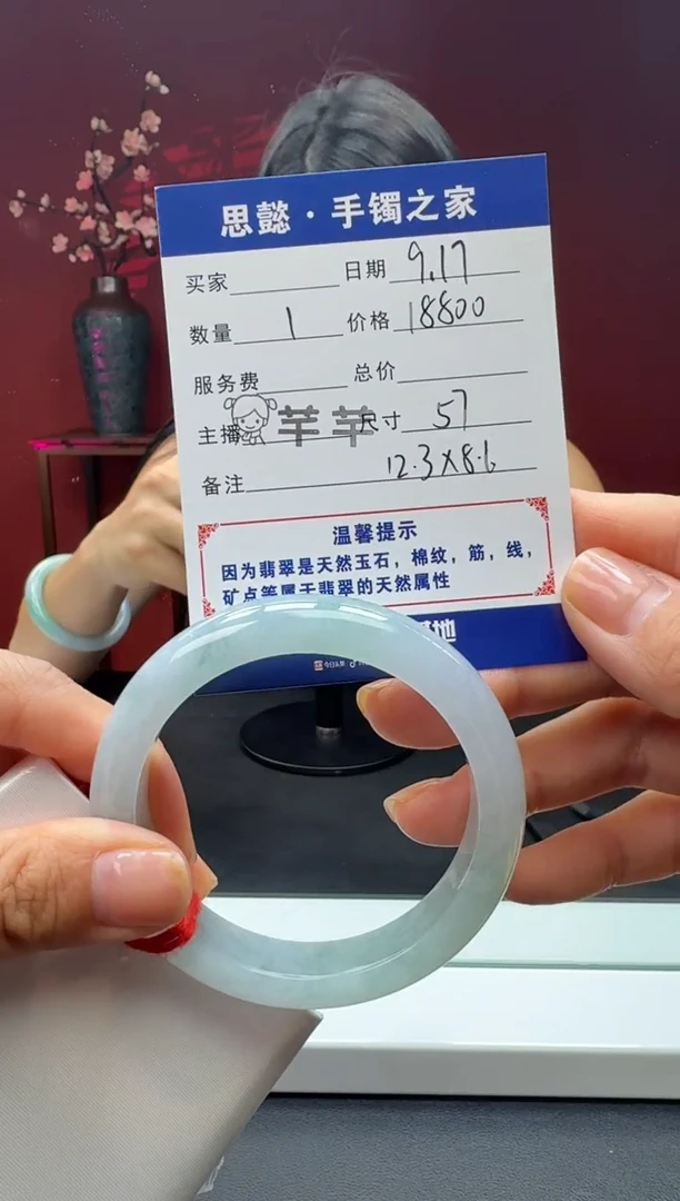 未镶嵌手镯翡翠翡翠手镯