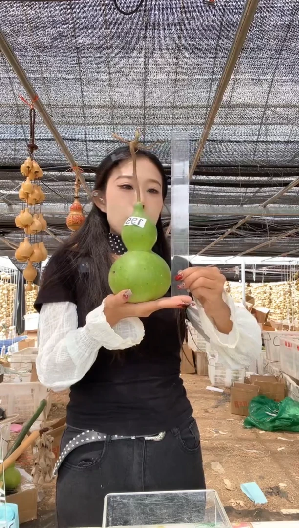 195天然葫芦摆件 一物一拍龙头不保售后微瑕疵