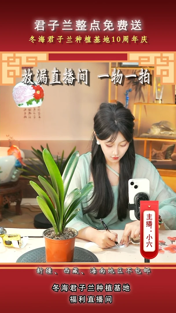 当前无花朵，栽培后可花朵五*君子兰