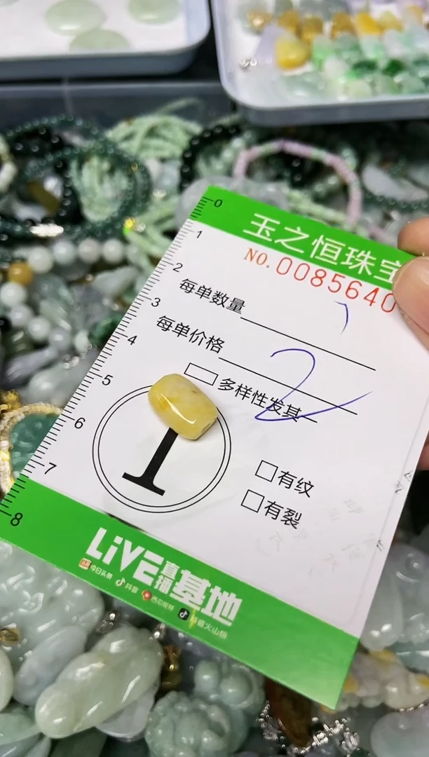 翡翠未镶嵌颈饰闪购0085640