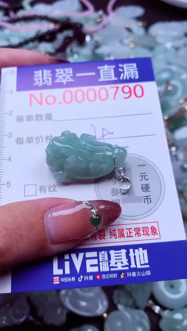 颈饰未镶嵌翡翠790