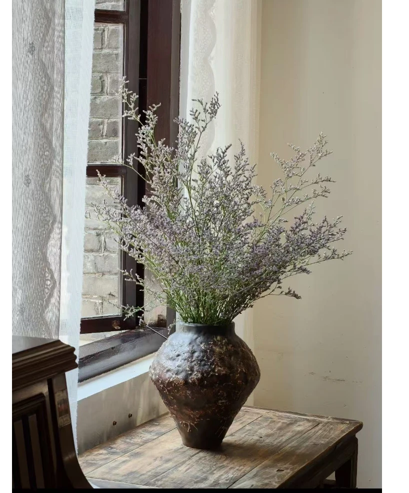 【拾花拾木】梦幻情人草 云南鲜花