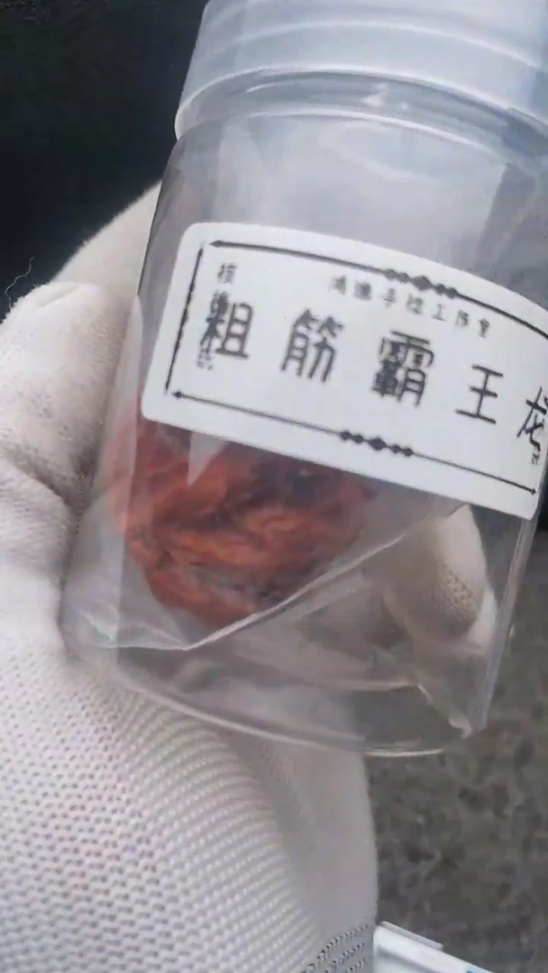 【闪购商品】文玩核桃把件粗筋霸王龙