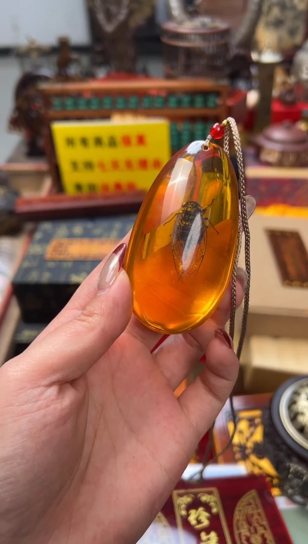 【闪购商品】琥珀颈饰未镶嵌——————————