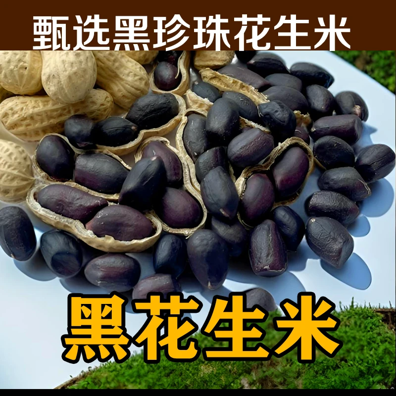 黑花生米老品种小粒黑花生仁山东沂蒙山黑珍珠花生米1/2/3/5斤