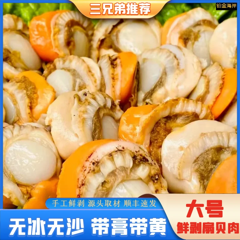 【三兄弟海鲜】4060规格新鲜扇贝肉红贝海鲜水产直播顺丰生鲜4斤装