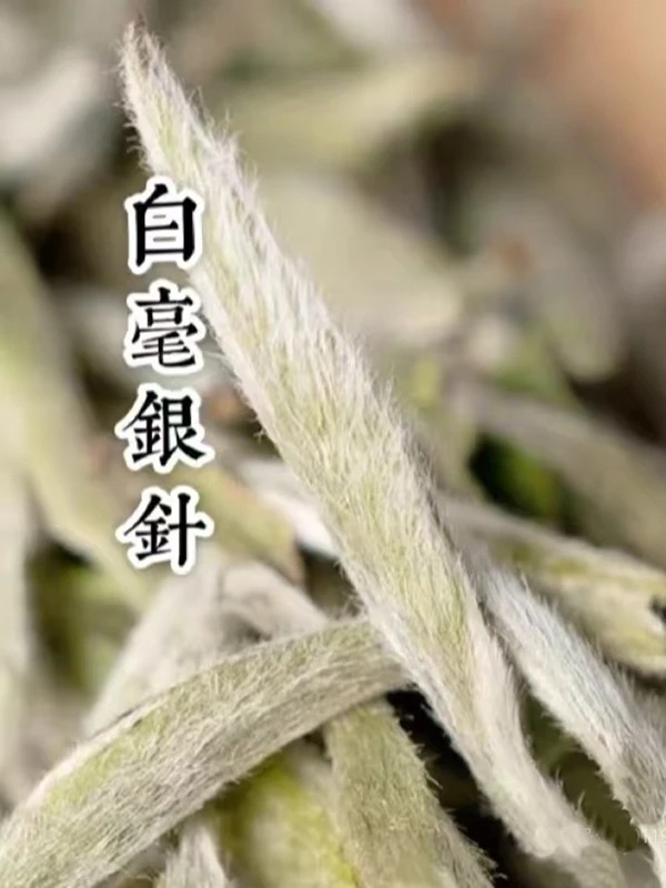 云南大白芽单芽云南白毫银针普洱茶
