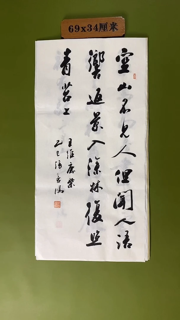 书法书法 张若鸿 尺寸69cm*34cm