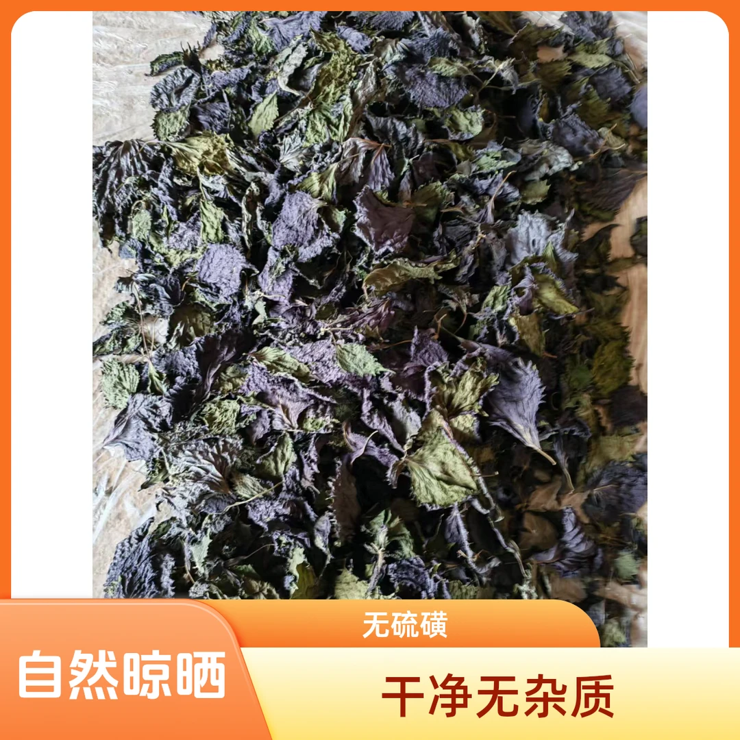 紫苏叶干货夏季可用于泡茶泡水食用的优质紫苏叶