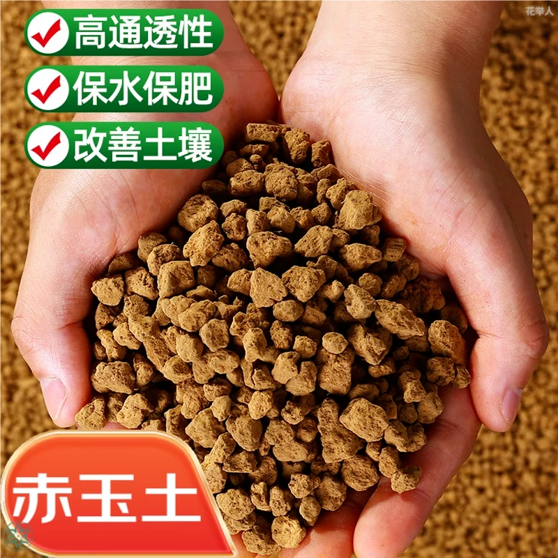 进口二本线赤玉土多肉盆景专用铺面颗粒营养土土壤种植泥炭土养花