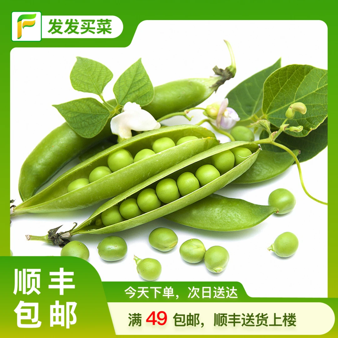 云南直发鲜豌豆约400g±5g/份（皮泛黄正常，个别表皮有压伤，不影响豆粒的食用）新鲜豌豆