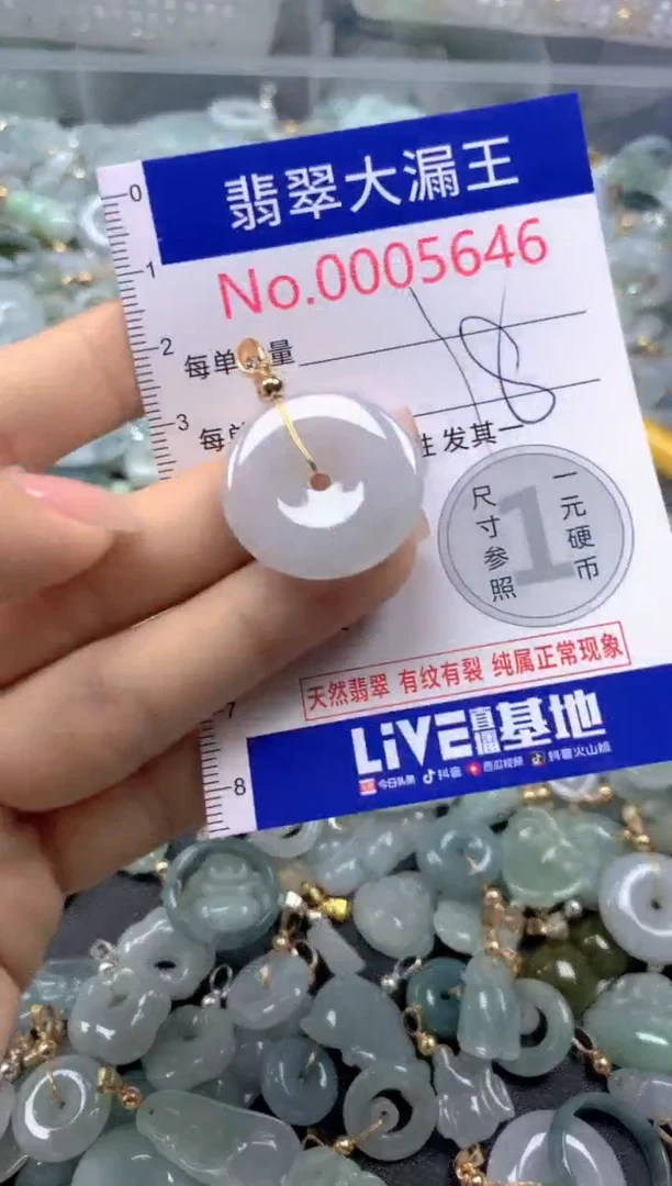 颈饰未镶嵌翡翠5646
