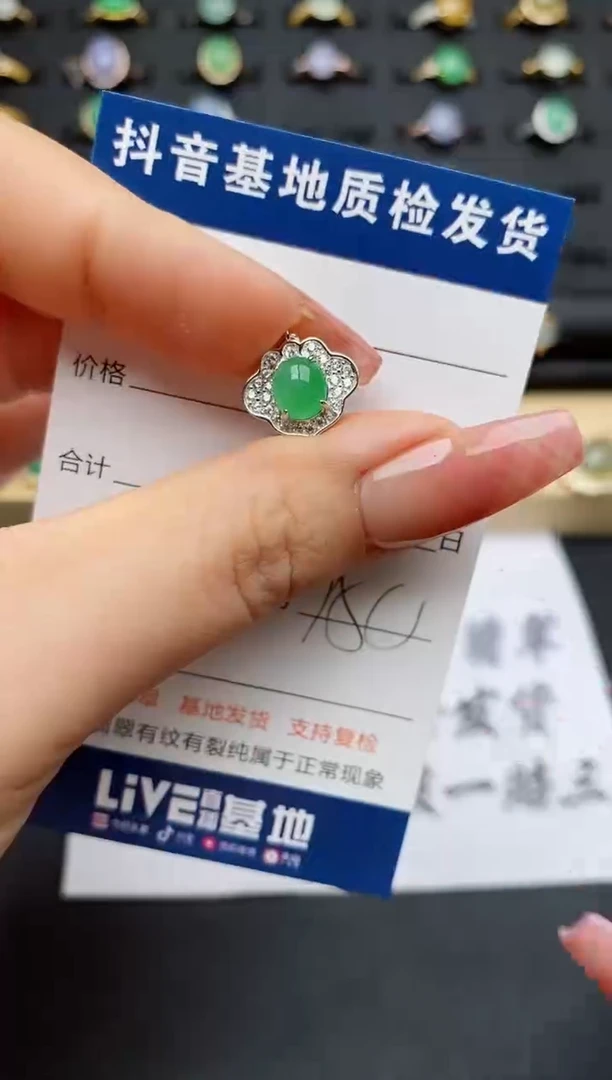 翡翠银S925镶嵌颈饰...........