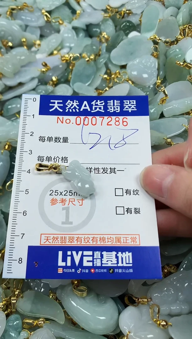 颈饰未镶嵌翡翠纯天然a货翡翠